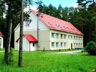 Чайка - 10