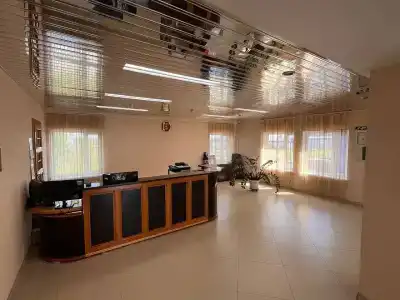 Новый лес - 8