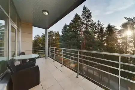 Репино Парк - 5