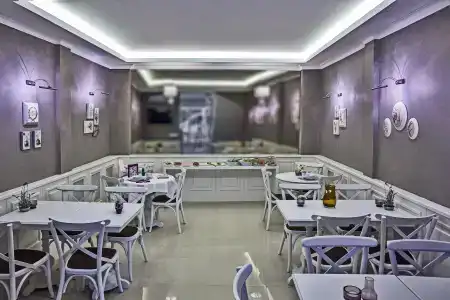 Mr. Bird - 2
