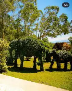Vita Gardenia Tskaltubo & Spa - 19
