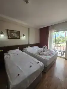 Stella - 18