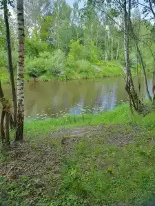 Зеленый луг - 7