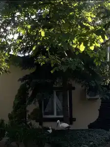Гостевой дом у озера - 0