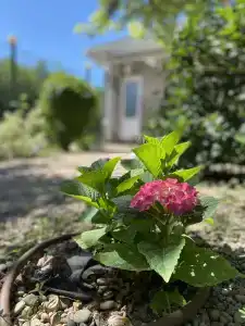 в Провансе - 2