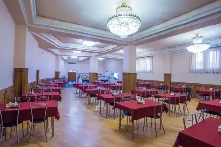 Ani Central Inn - 11