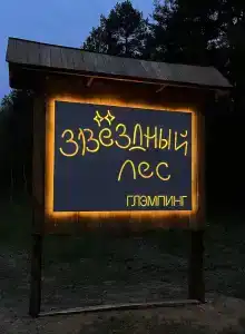 Звездный лес - 6