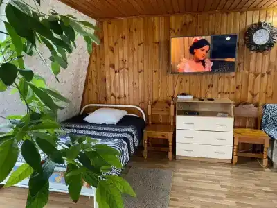 Светлана - 14