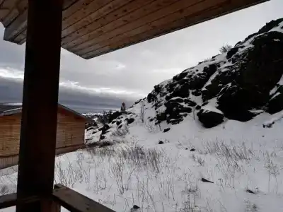 Cedar Grass Териберка - 181