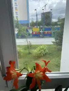 Квартира возле аквапарка - 20