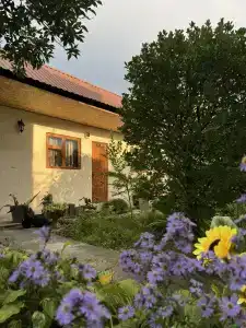 Артур и Сусанна - 21