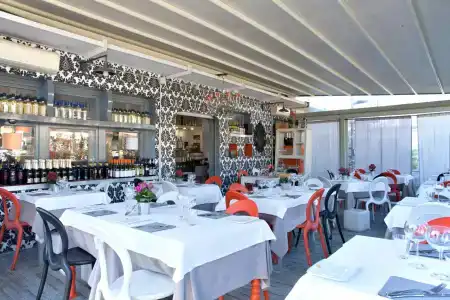 Orange - 34