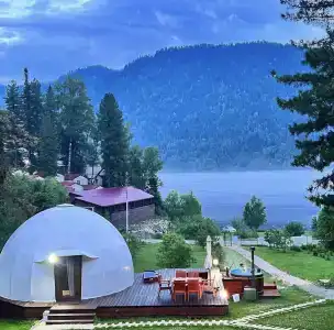 Глэмпинги Алтай Forest Glamp - 11