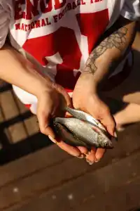 Дом с единорогом - 15