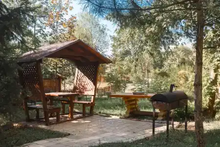 Poiana Bradului - 29