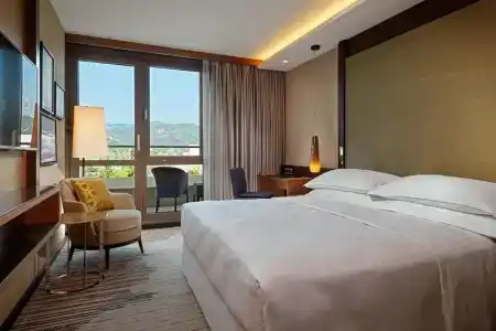 Sheraton Grand Tbilisi Metechi Palace - 4