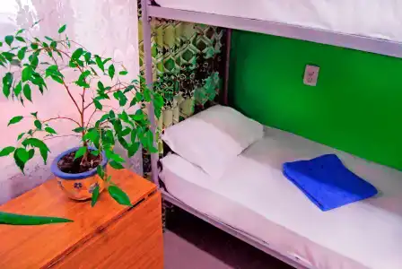 Alla House - 39
