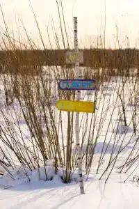 Шелест - 25