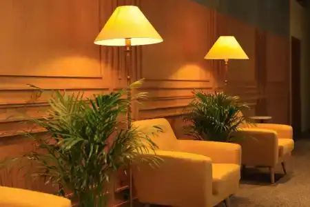 Pine Astoria - 5