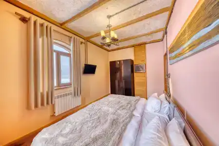 Alpine Castle - 35