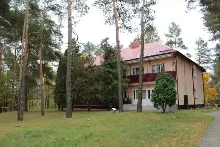 Днепровские сосны - 10