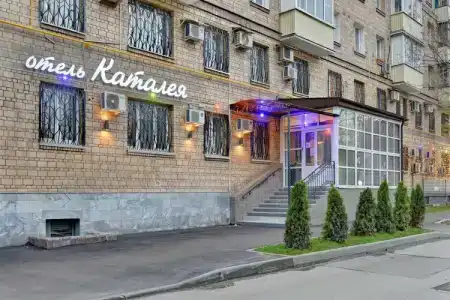 Каталея - 0