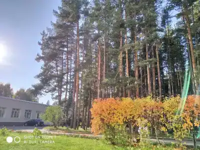 Золотой колос - 21