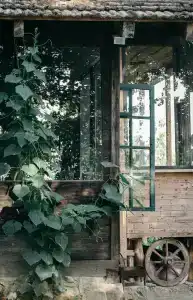 Wine Space - 11