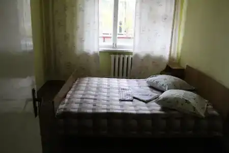 Днепровские сосны - 17