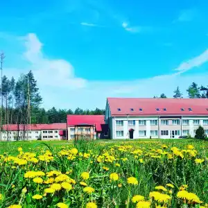 Чайка - 1