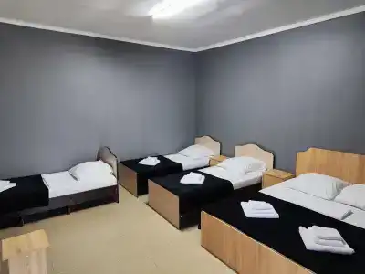 Симба - 20