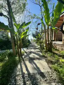 Aqua Palm Resort - 22