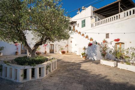 Tenuta del Barco - 1