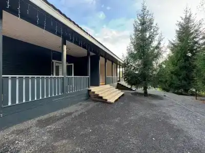 Лесное - 0