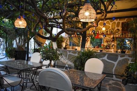 Artunc Bodrum - 41