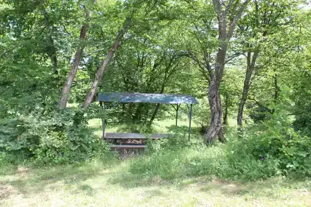 Дубовая Роща - 16