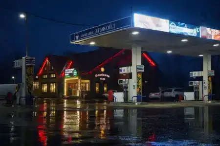 Славянка - 19