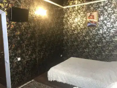 Меценат - 24