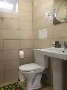 Мега - 10