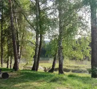 Лазурная - 9