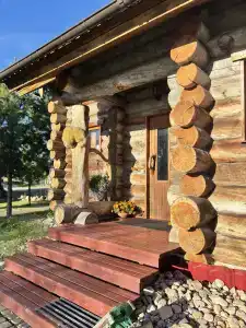 Лось - 10