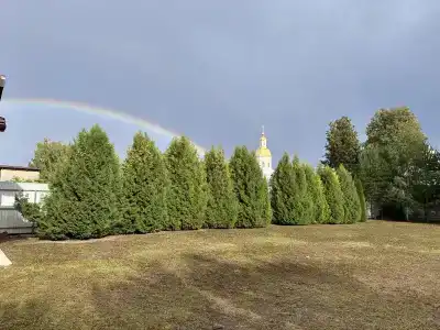 Александрина - 0