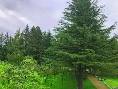 Imeri Park - 1
