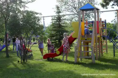 Подсолнух - 40