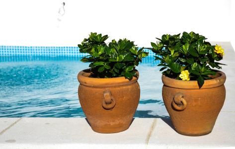 Aguilas5 SevillaSuites - 36