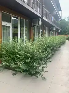 Прибой - 65