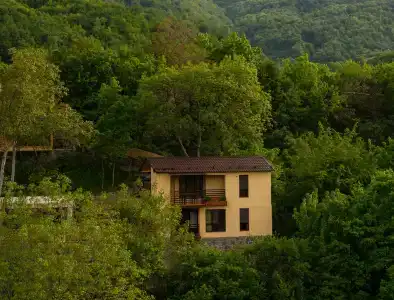 Dilivita - 3