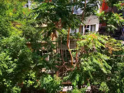 gafa garden Hostel - 65