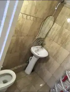 Флора - 16