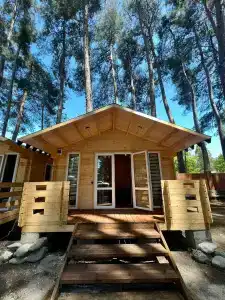 Forest Club - 37
